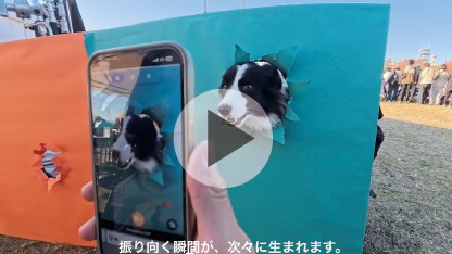 愛犬の目線も自然にキャッチ